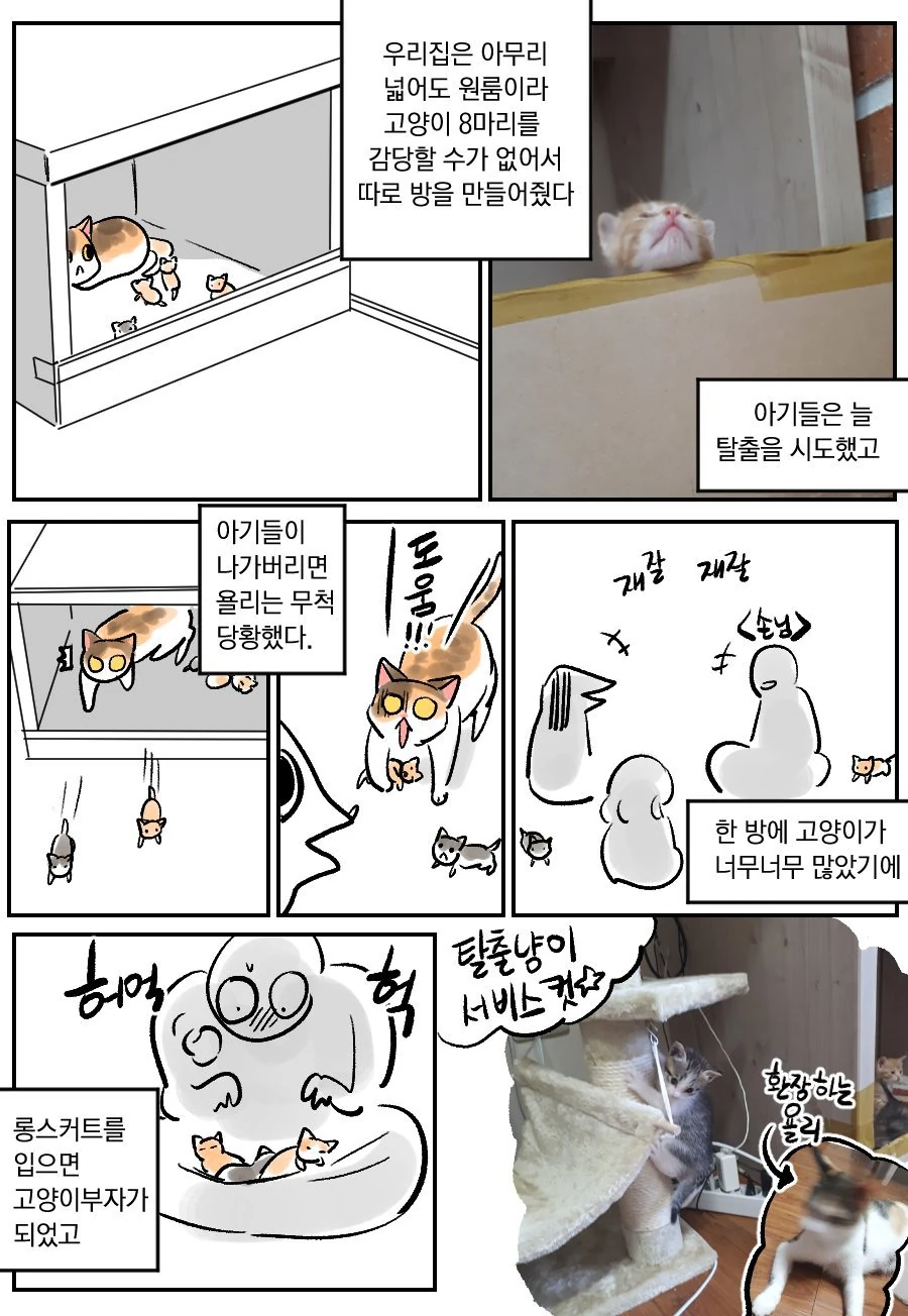 ㅇㅅ한 고양이를 주워왔더니 새끼를 낳은 만화 - 이미지 2