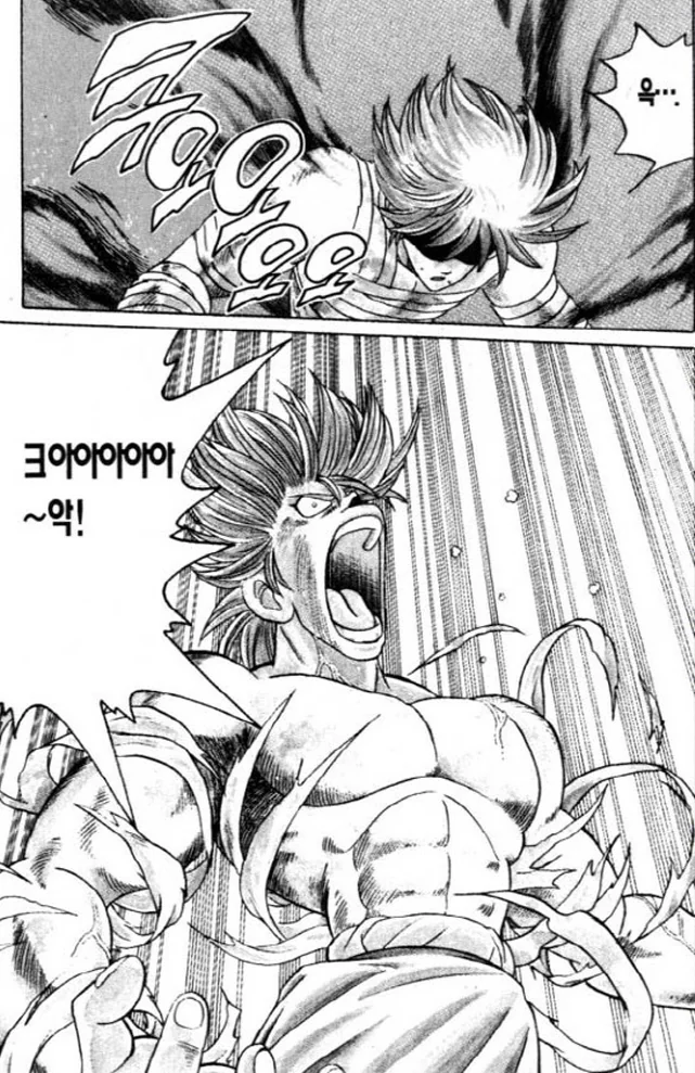[다이의대모험]존나 짱센 투기를 손에 넣다 - 이미지 3