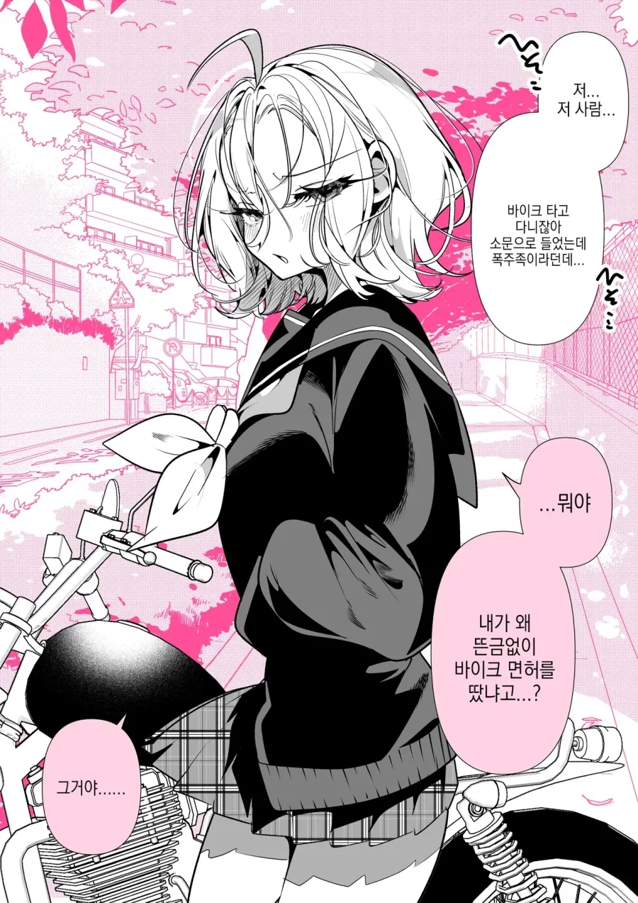 양키 소녀가 바이크를 타는 이유.manhwa