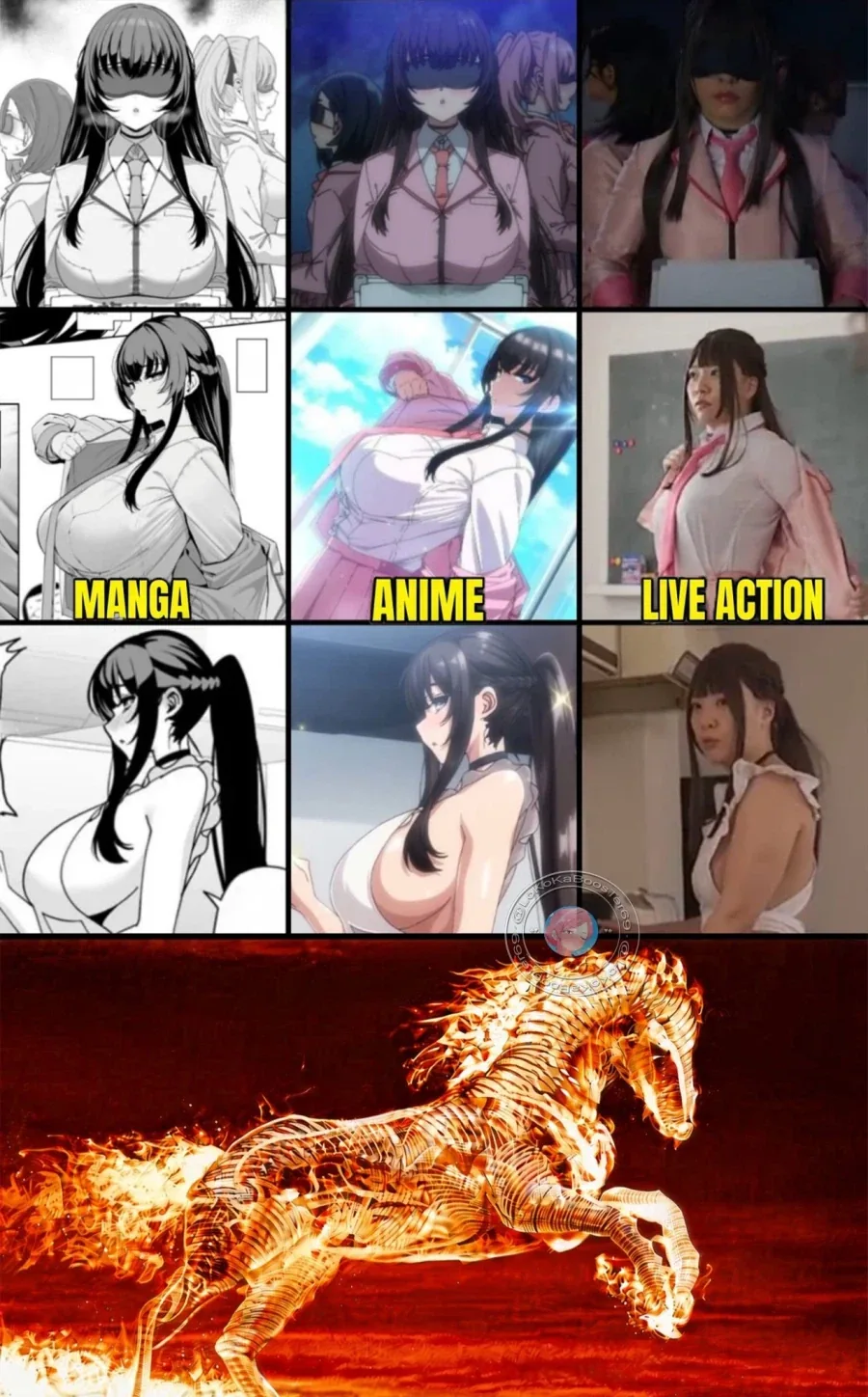 만화vs애니vsAV.jpg