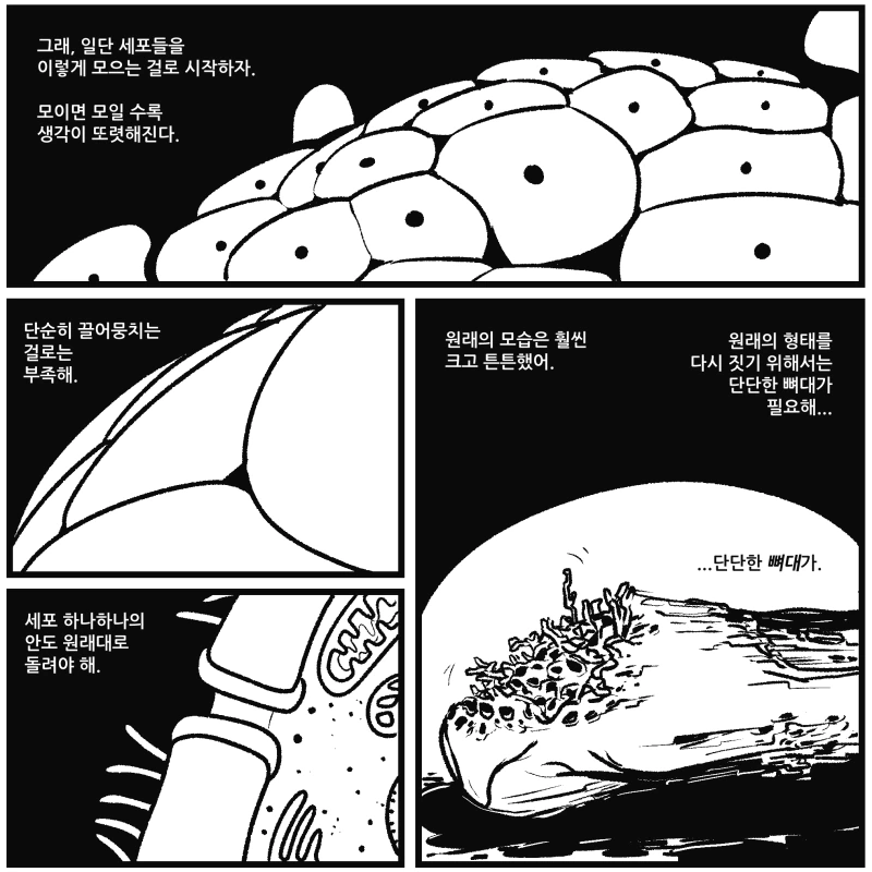 여기사가 소생마법 받는 manga - 이미지 2