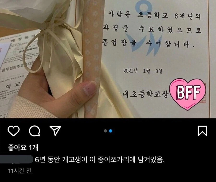 6년간의 개고생을 담은 종이 쪼가리 한 장.jpg