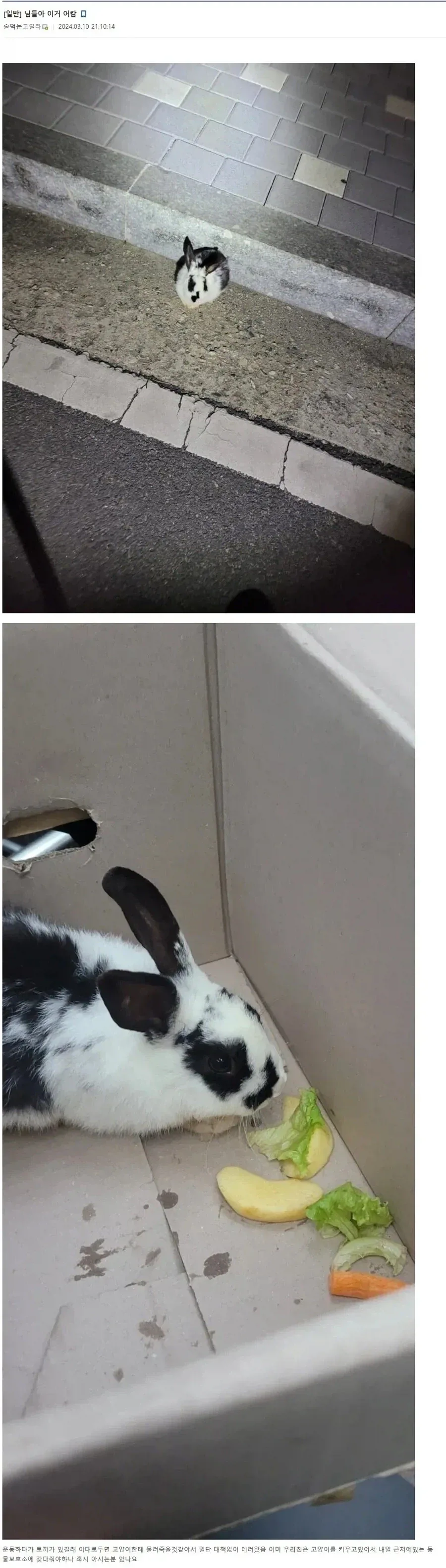 태극권 고수 디씨인.jpg