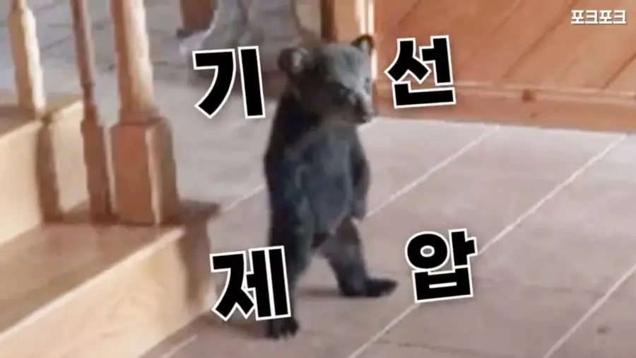 아기 사슴을 처음 본 아기 불곰의 흑역사.jpg - 이미지 6