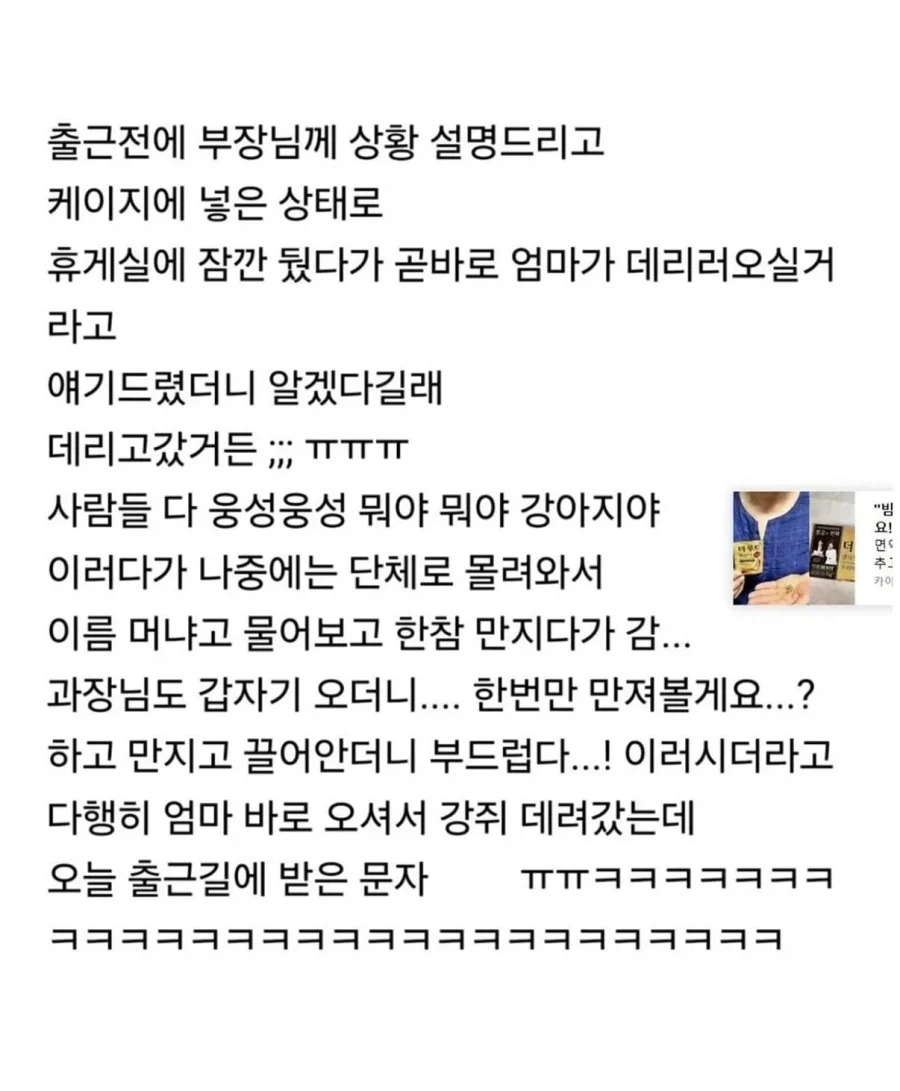 사정 있어서 강아지 데리고 출근 했는데 - 이미지 2
