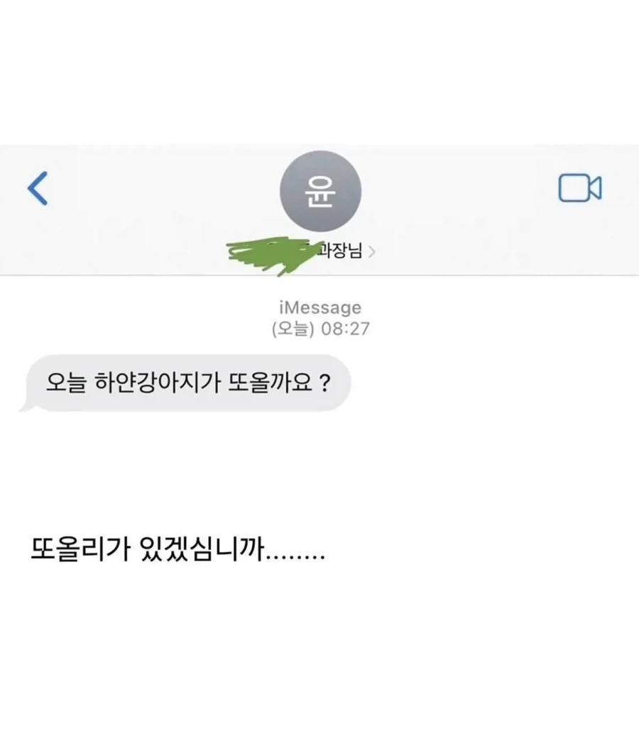 사정 있어서 강아지 데리고 출근 했는데 - 이미지 3