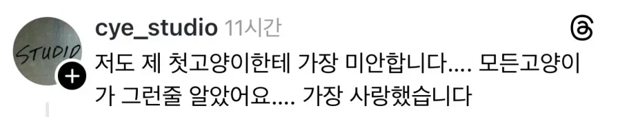 우리 고양이는 정말 정말 착했다.jpg - 이미지 2