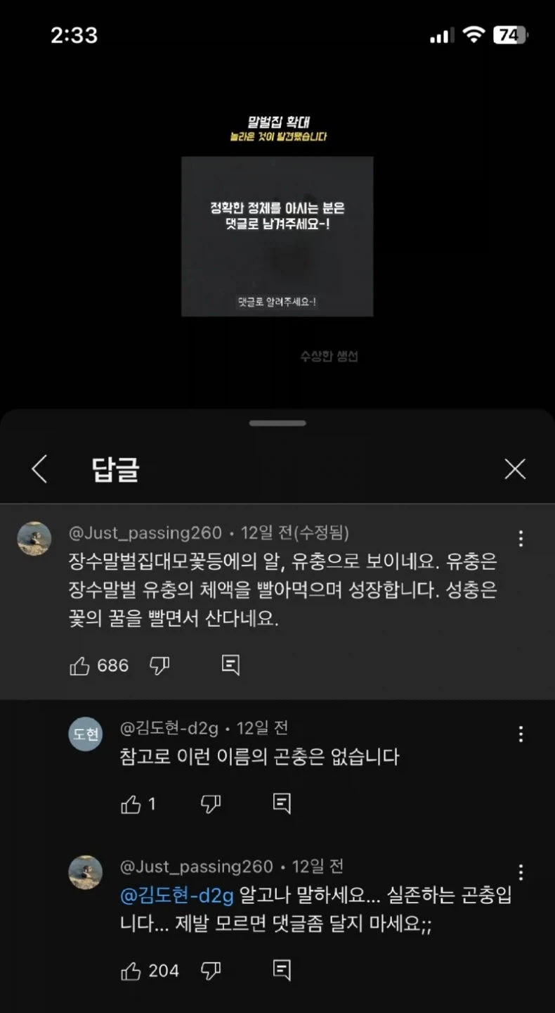 어질어질한 유튜브 댓글 jpg.