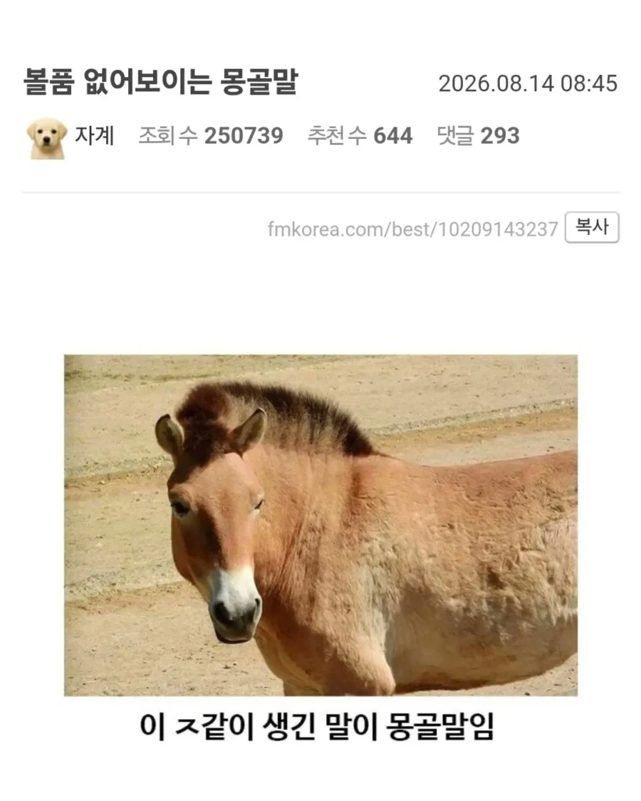 유익한이야기) 여기 볼품 없어 보이는 몽골말이 있습니다