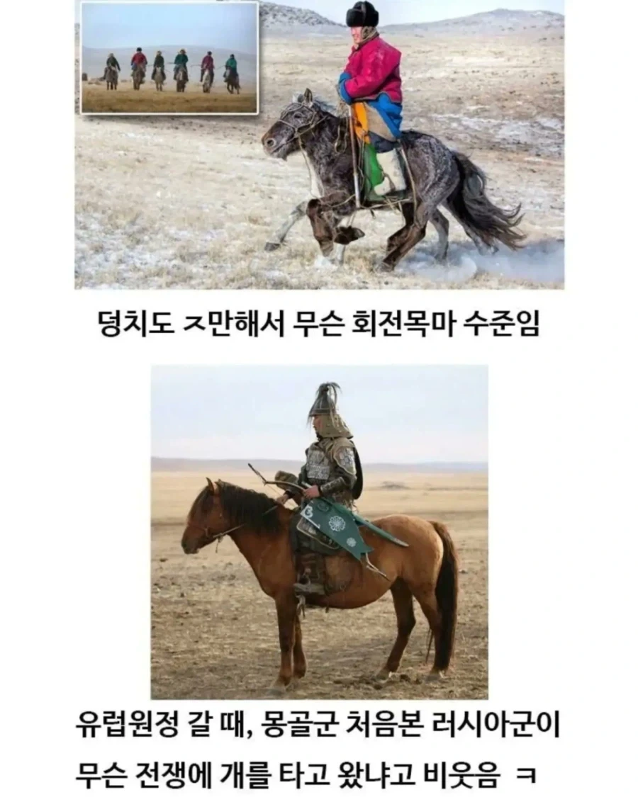 유익한이야기) 여기 볼품 없어 보이는 몽골말이 있습니다 - 이미지 2