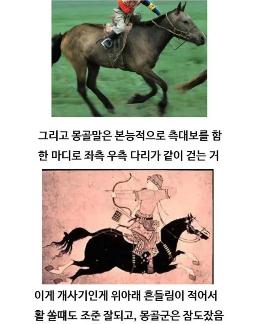 유익한이야기) 여기 볼품 없어 보이는 몽골말이 있습니다 - 이미지 7