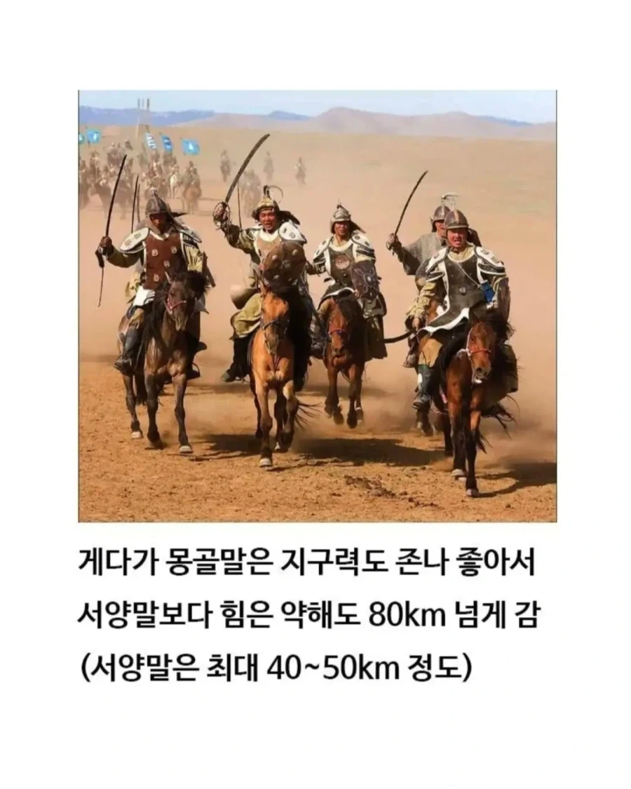 유익한이야기) 여기 볼품 없어 보이는 몽골말이 있습니다 - 이미지 8