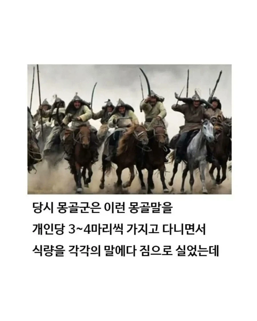 유익한이야기) 여기 볼품 없어 보이는 몽골말이 있습니다 - 이미지 9