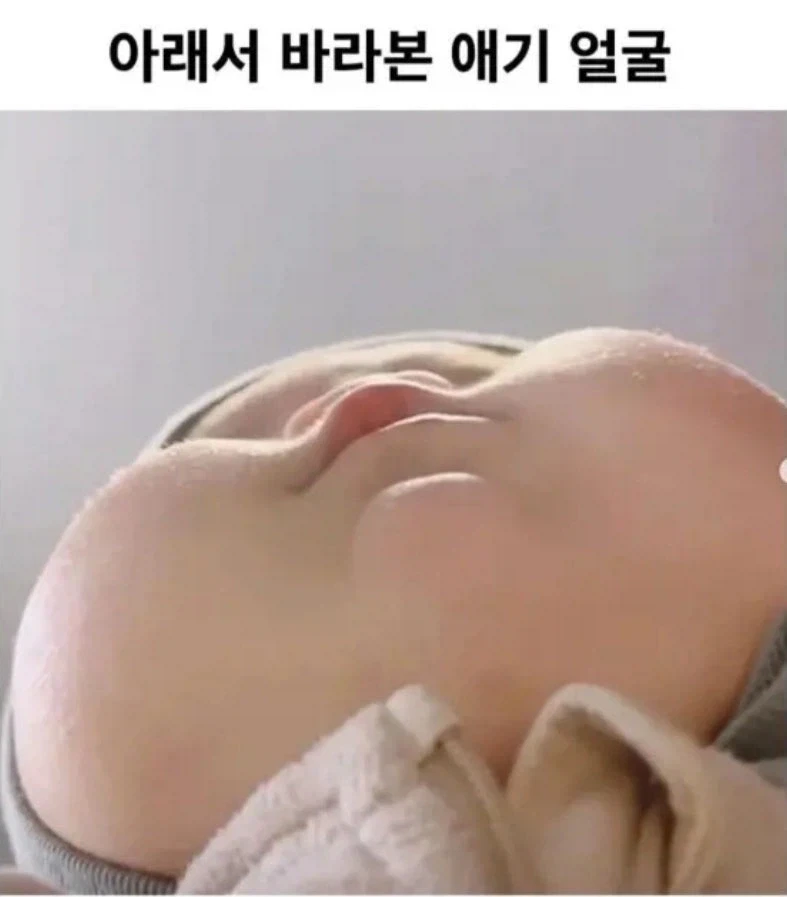 아래서 바라본 애기 얼굴