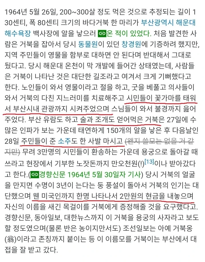 부산에서 상어나왔다고 난리난이유 . fullcourse - 이미지 2