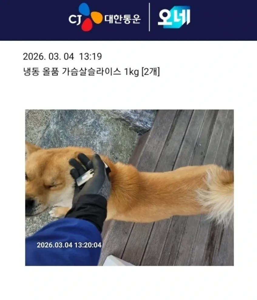 강아지 있는 집의 택배 배송 완료 사진. - 이미지 3