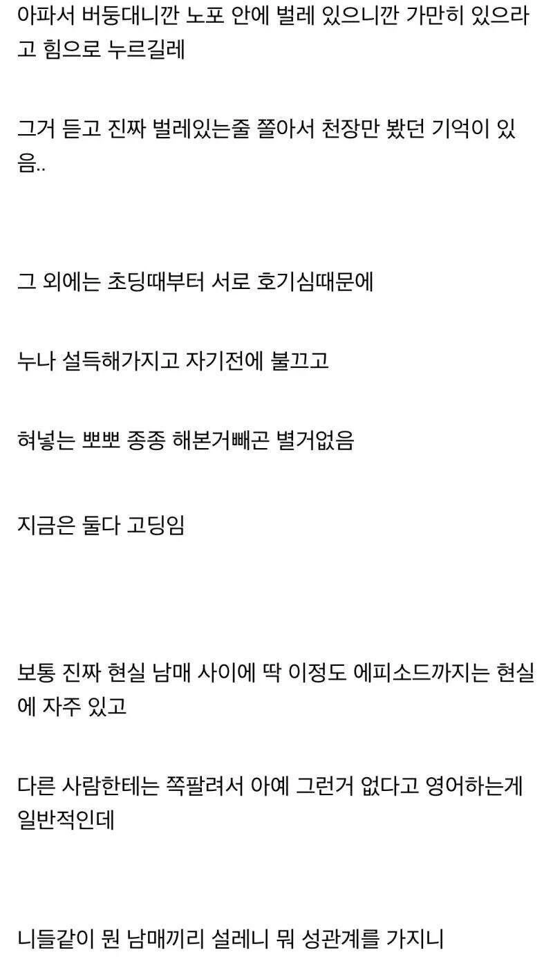 친누나랑 근친 소설 좀 쓰지 마라 - 이미지 3