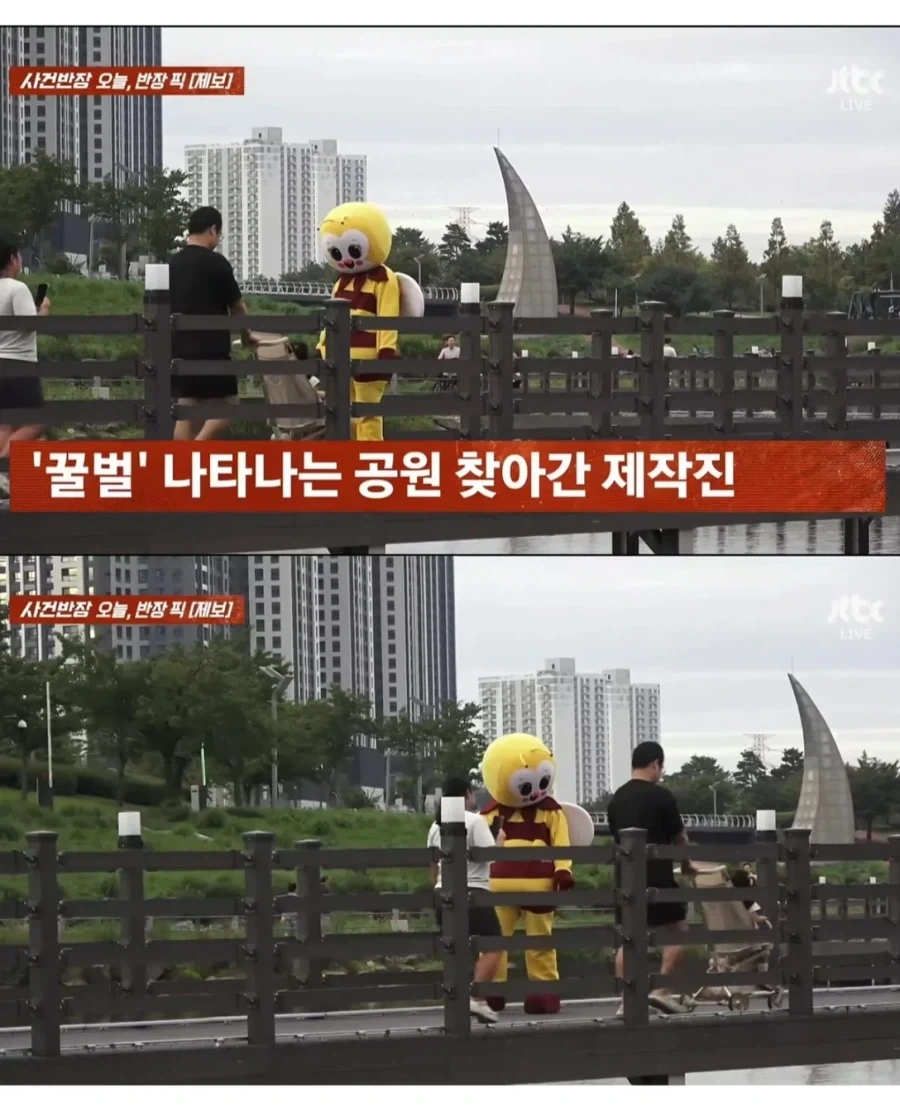 촬영 싫다는 꿀벌 인형탈편 억지로 찍어 방송 내보낸 사건반장 - 이미지 2