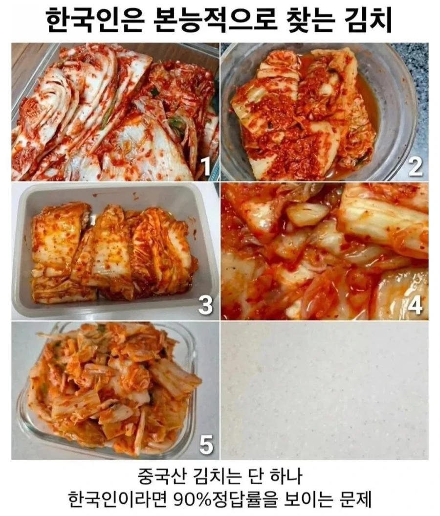 한국인은 본능으로 찾는 김치.jpe