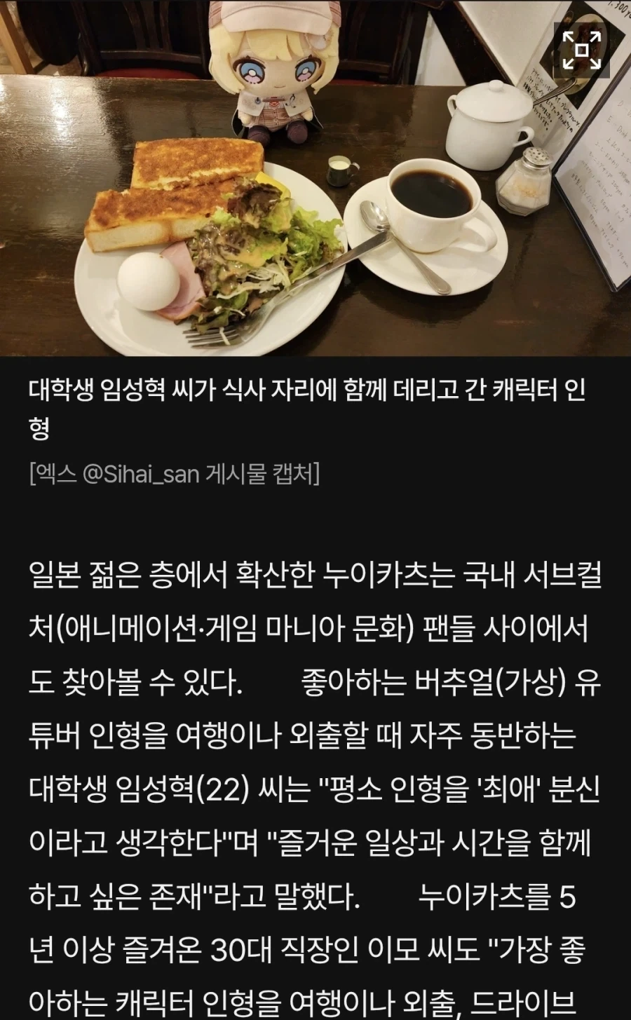 임성혁씨의 반려인형