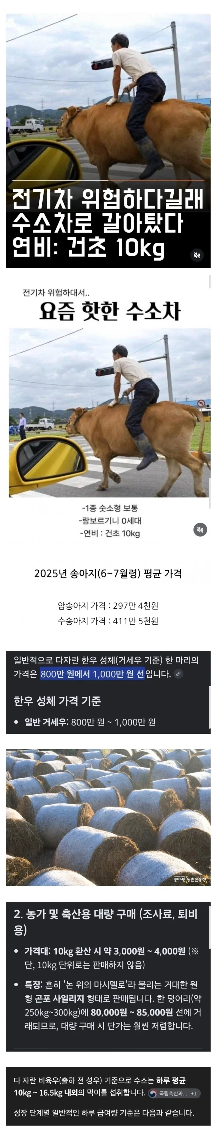 하루 연료비 4500원, 1000만원 가격 수소차