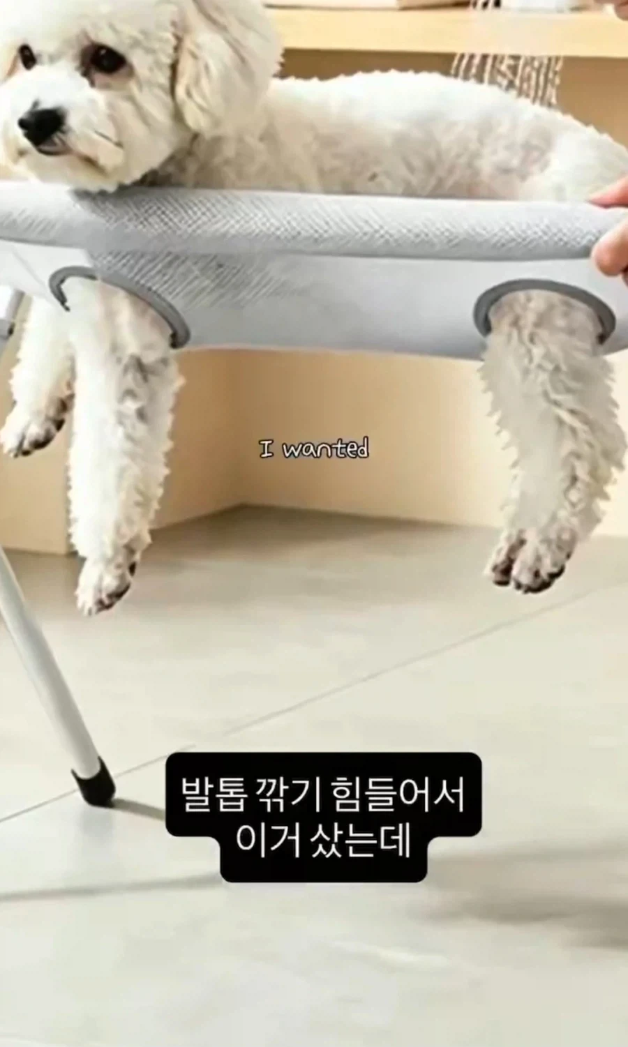 강아지 발톱깍으려고 이거삿다함