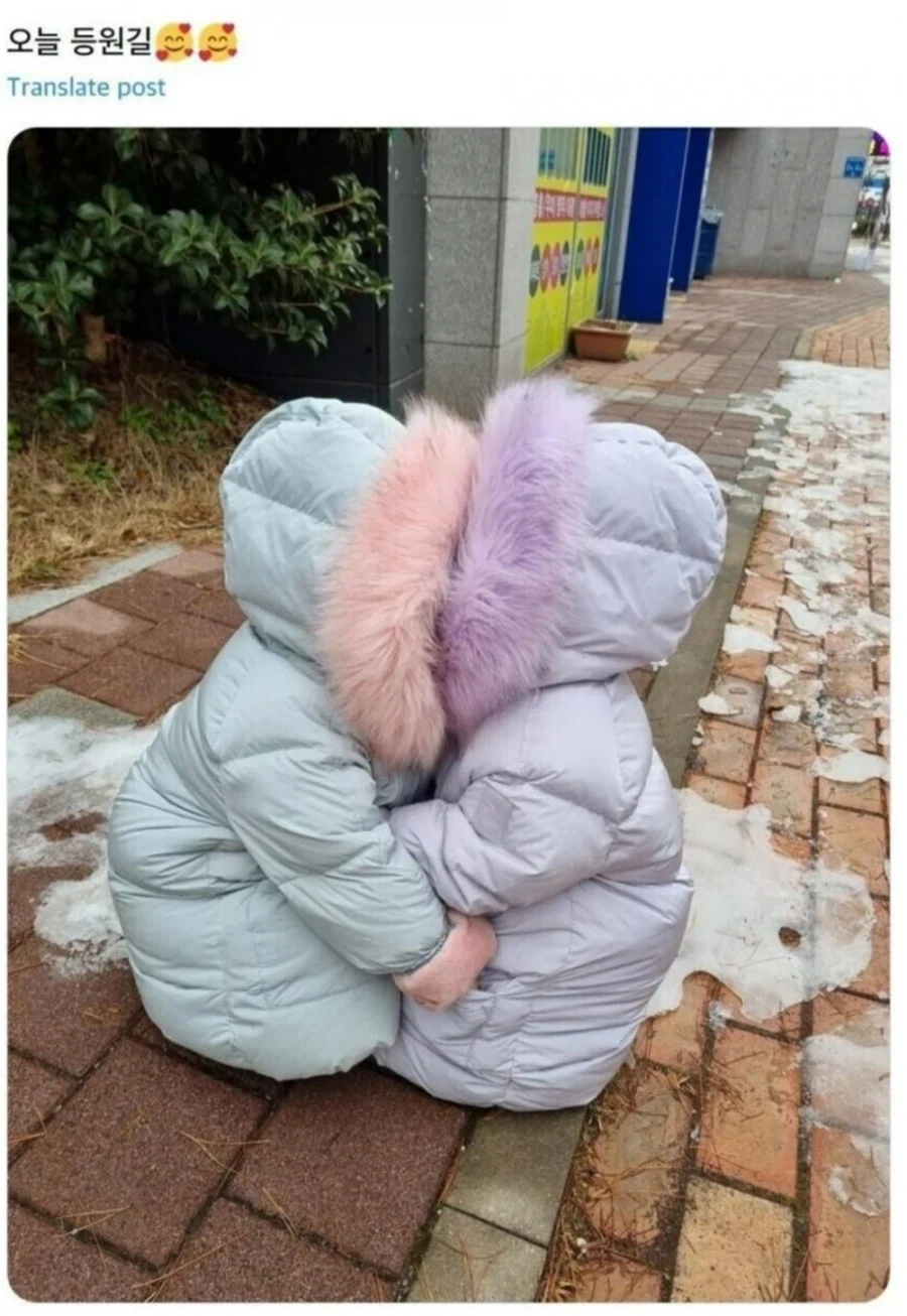 급추위에 대응하는 아기들