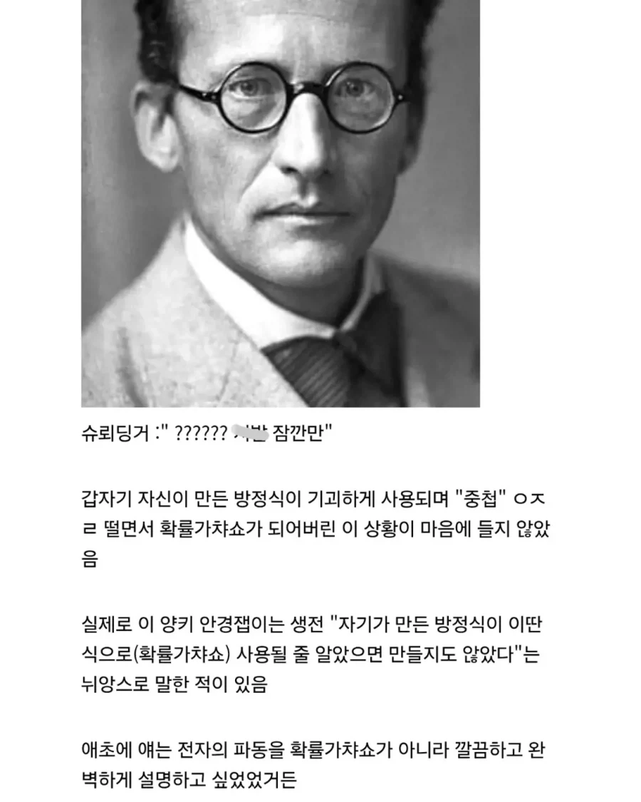 의외로 잘못 알려진 슈뢰딩거의 고양이 실험.jpg - 이미지 8