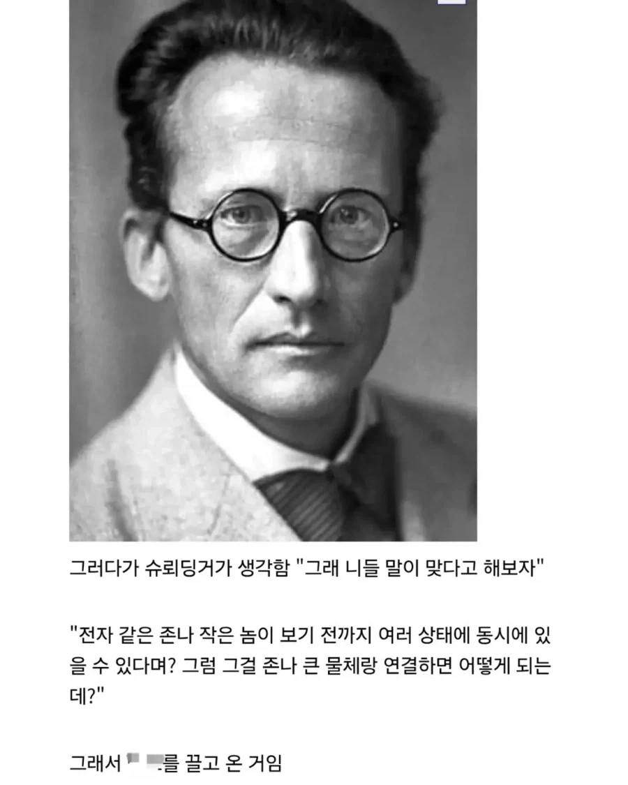 의외로 잘못 알려진 슈뢰딩거의 고양이 실험.jpg - 이미지 10