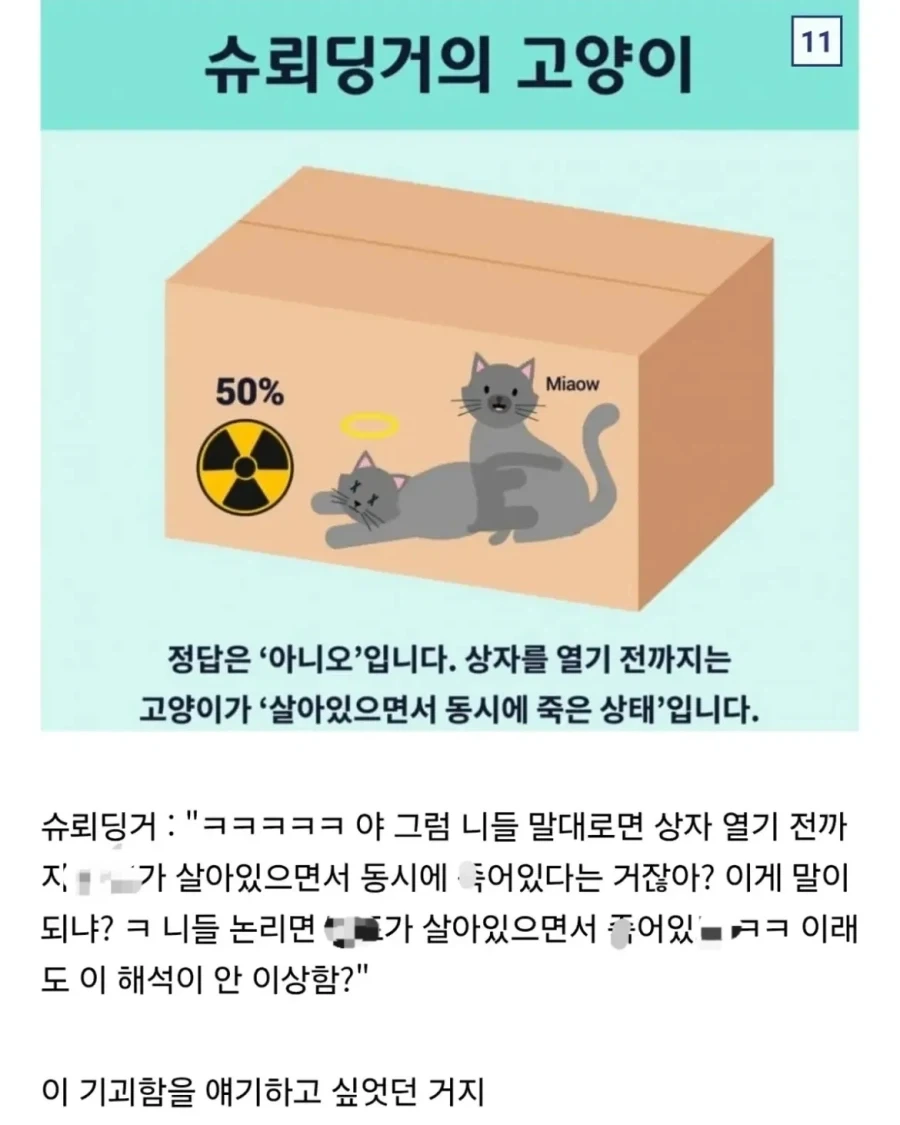 의외로 잘못 알려진 슈뢰딩거의 고양이 실험.jpg - 이미지 11