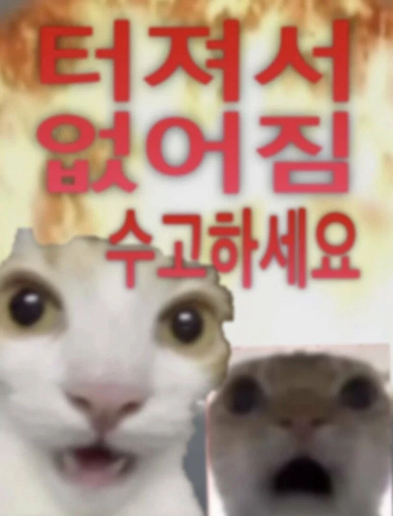화학과 꿈나무들 입문 경로들 - 이미지 2