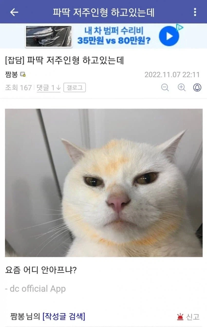파딱 저주인형 하고 있는데