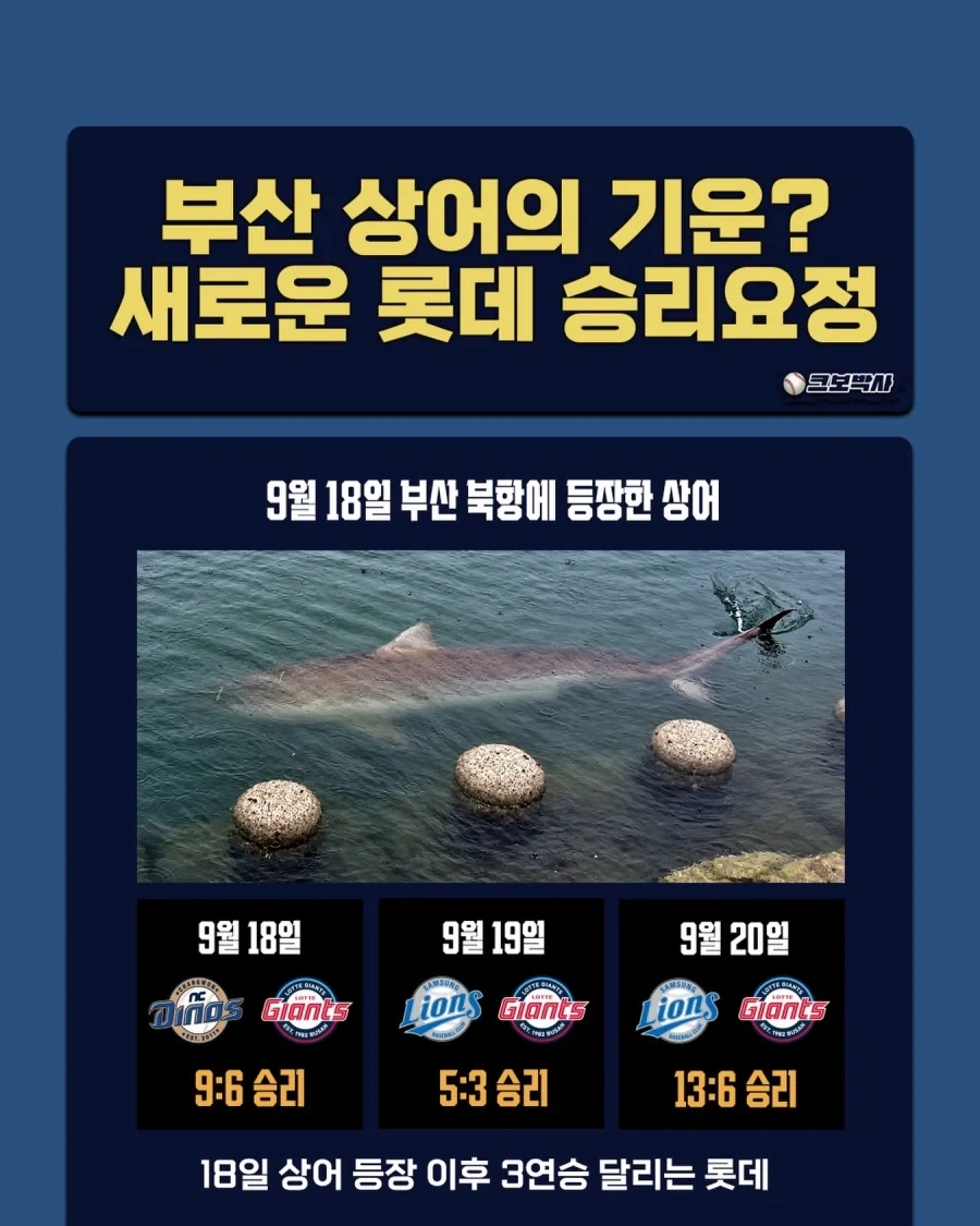 KBO] 상어 등장이후 3연승 중인 꼴데...