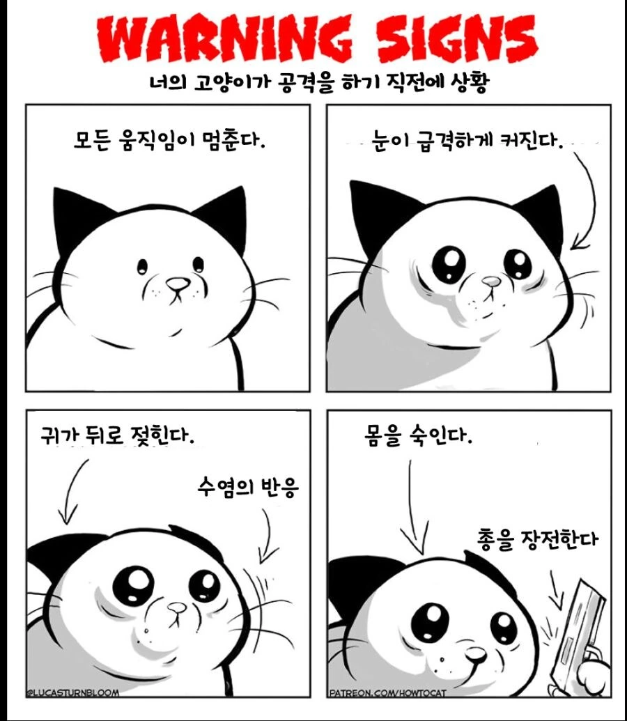 고양이의 공격 시그널.jpg