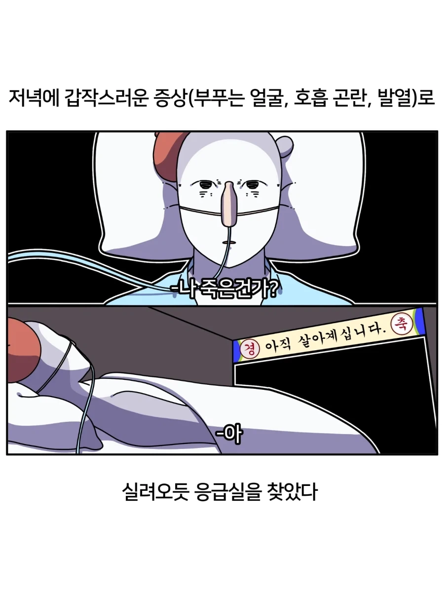 역대급 어처구니없는 희귀 알레르기 만화.jpg - 이미지 2
