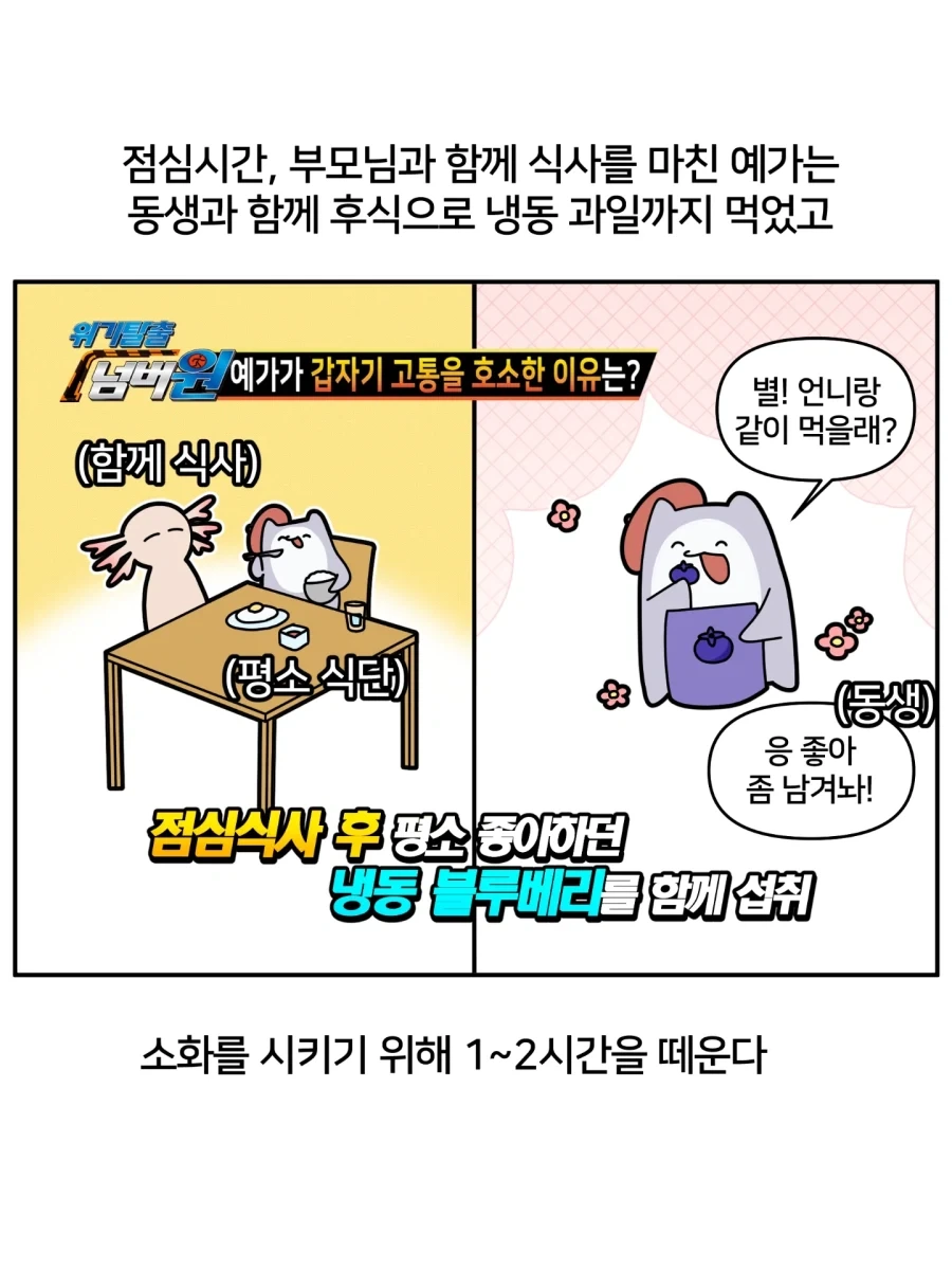 역대급 어처구니없는 희귀 알레르기 만화.jpg - 이미지 5