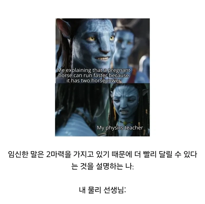 임신한 말은 2마력을 가지고 있기 때문에