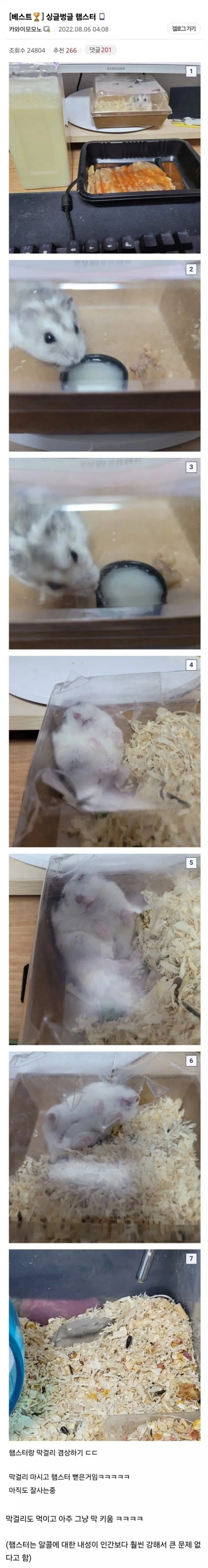 햄스터에게 백탁액 먹임.....