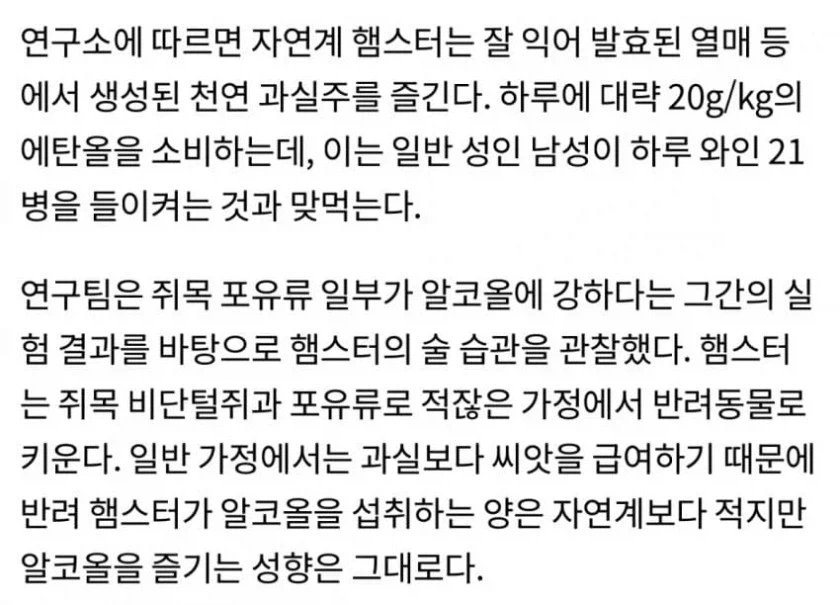 햄스터에게 백탁액 먹임..... - 이미지 2