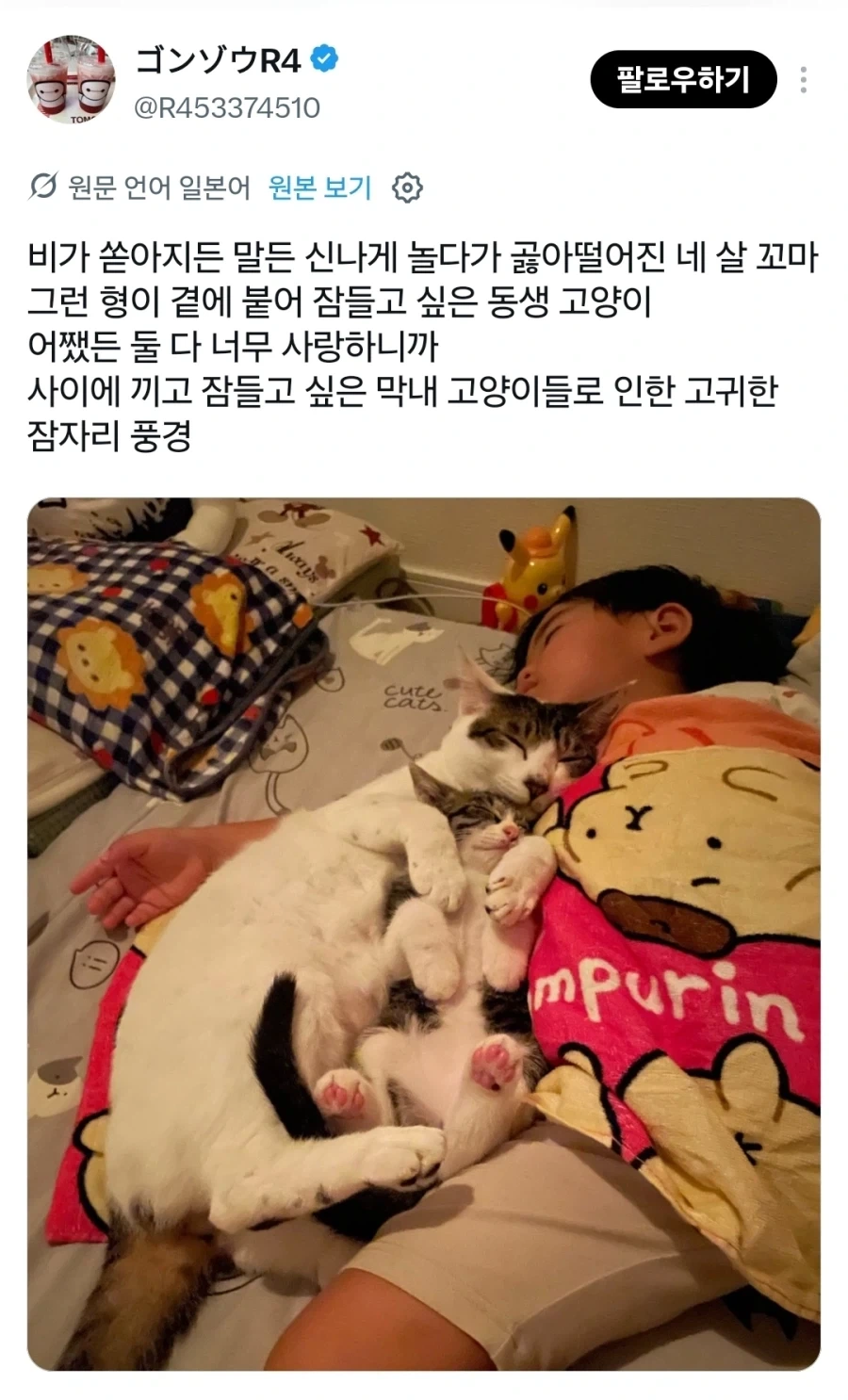 같이 자는 고양이와 아이.jpg