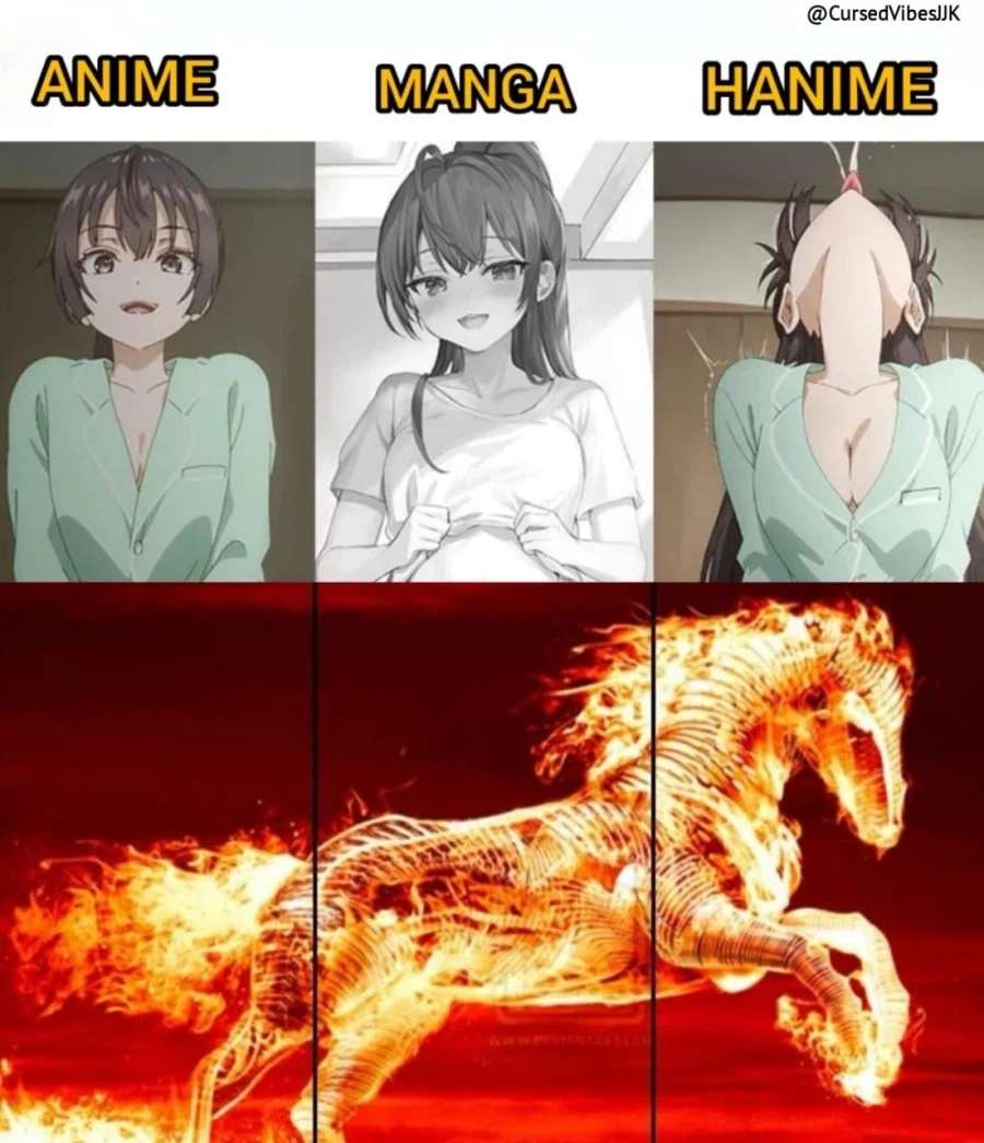 애니 vs 코믹스 vs H anime.jpg