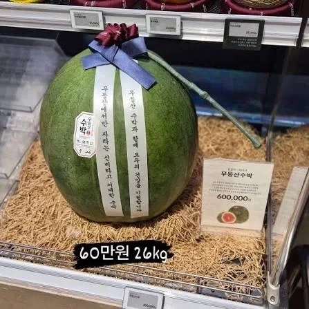 중국인의 수박론 뭔가 꼴리지 않냐