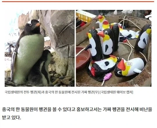 그저 10년 빨랐을 뿐인 동물원 - 이미지 2