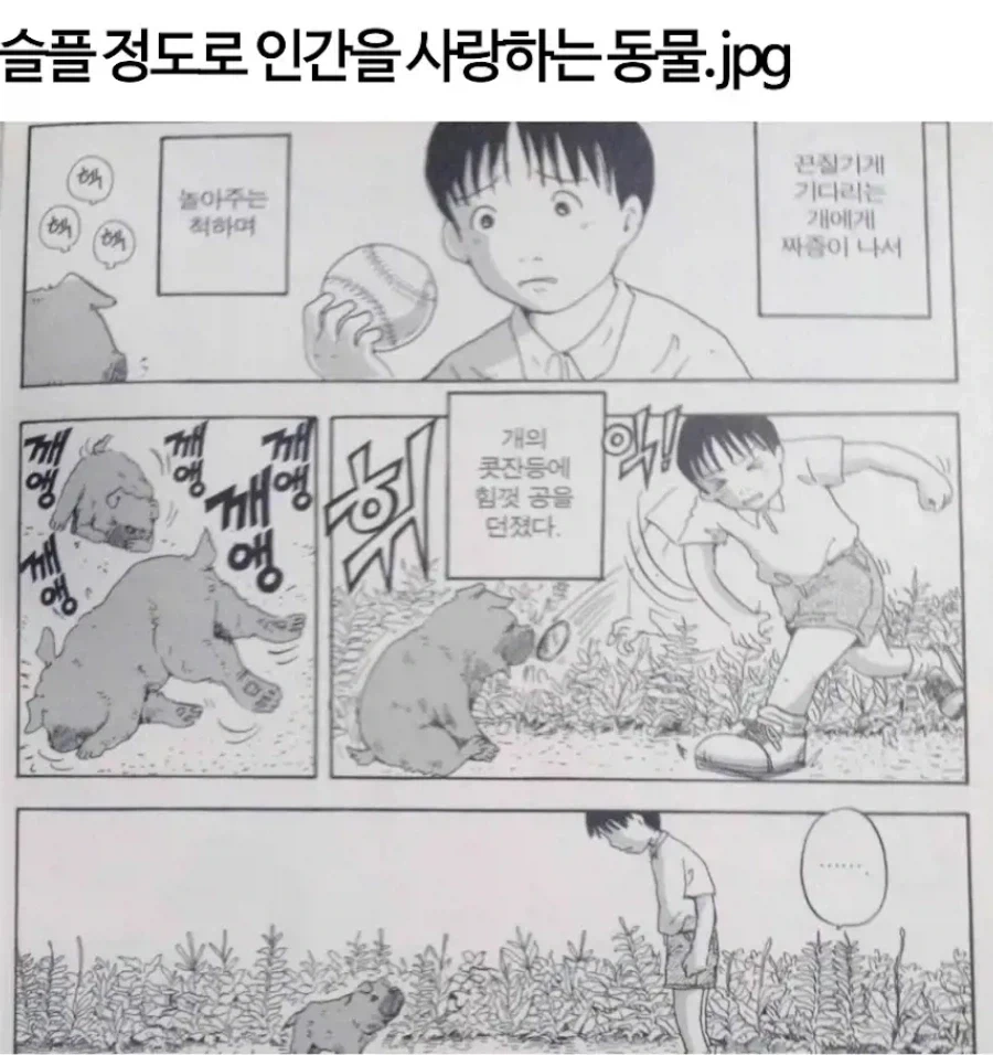 슬플 정도로 인간을 사랑하는 동물