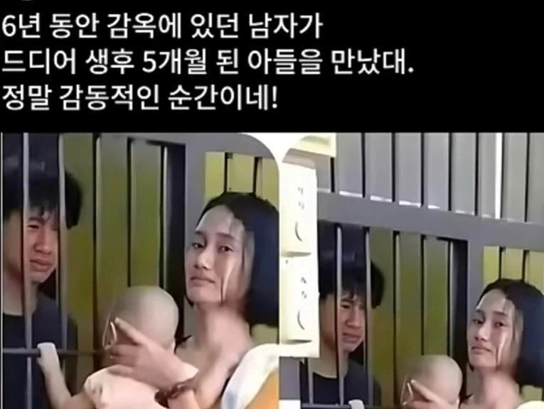 감동적인 재회
