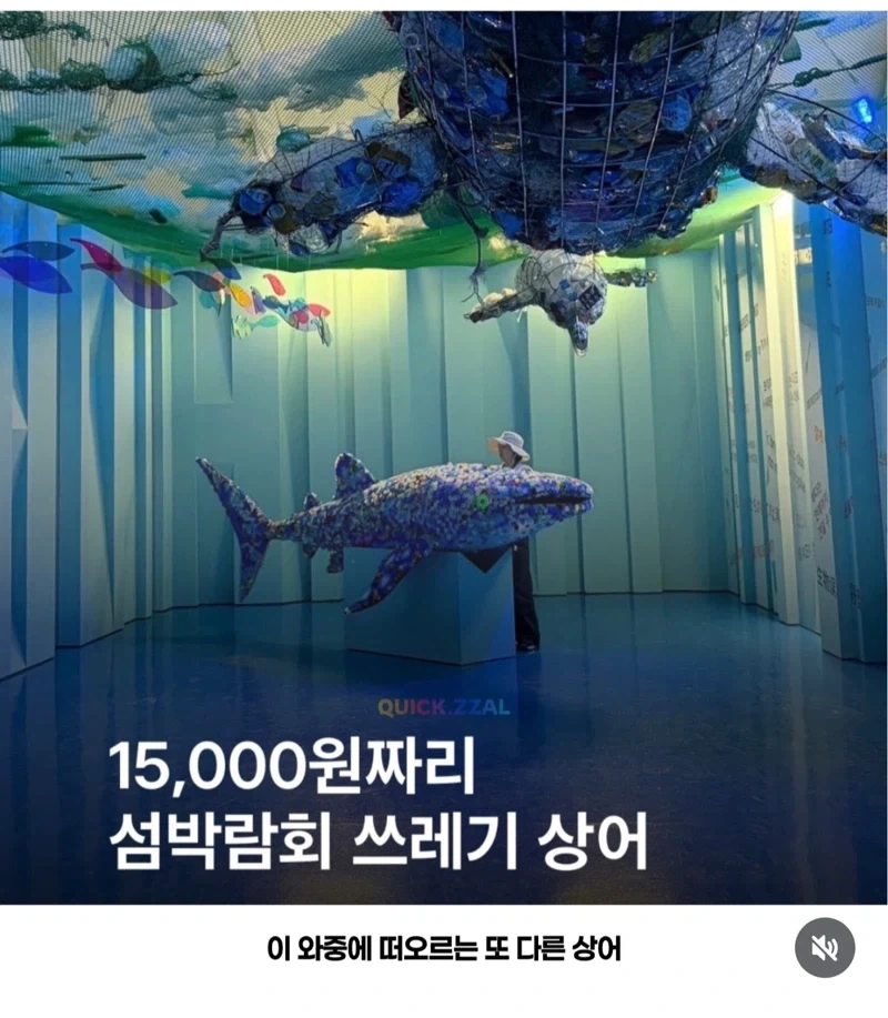 비교되는 상어 두 마리 - 이미지 2