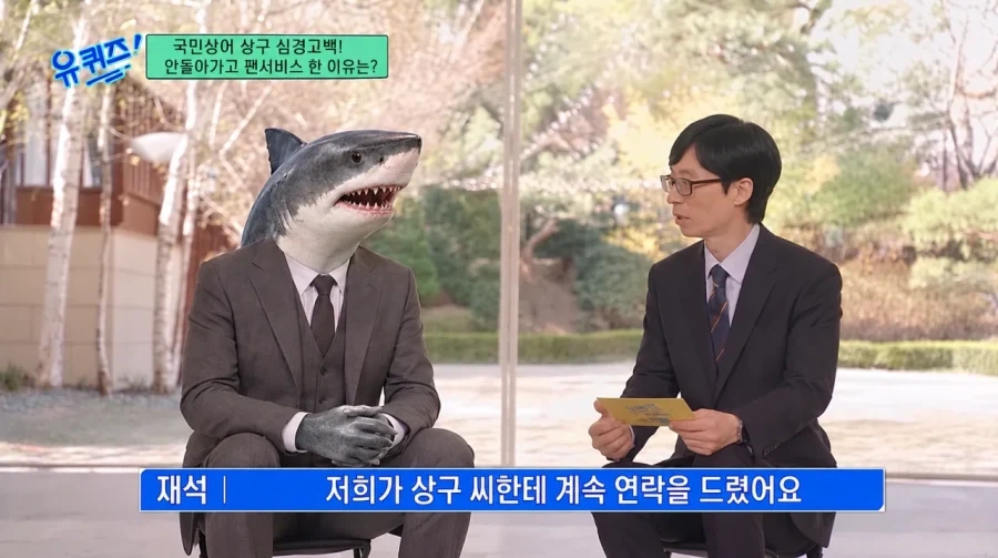 부산 친수공원 상어의 다음행보 예상