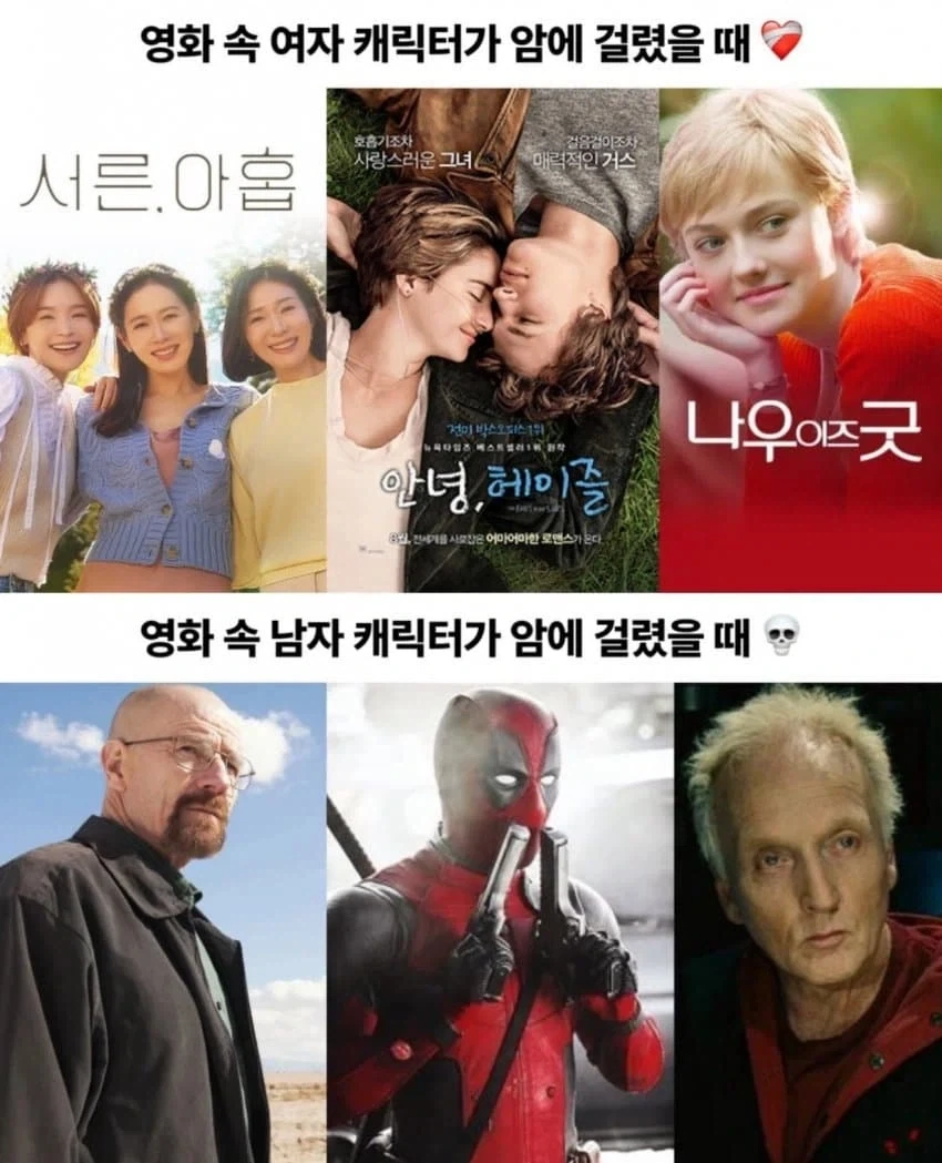 남녀가 암 걸렸을떄 차이점 ㄷㄷㄷ