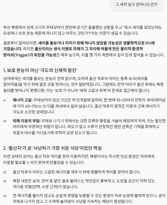 부산 상어, 북항 = 산후 조리원 가설 - 이미지 2