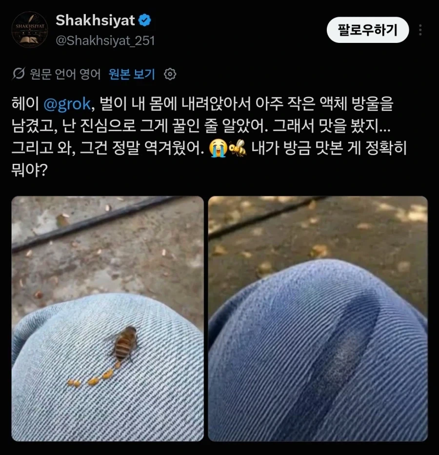 꿀벌 똥 먹었다는사람